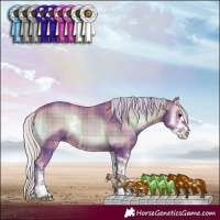 Horse Color:Watercolor Plaid Silver Brown Onyx Sabino