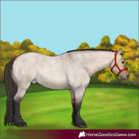 Horse Color:Bay Roan Dun 