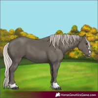Horse Color:Silver Black 