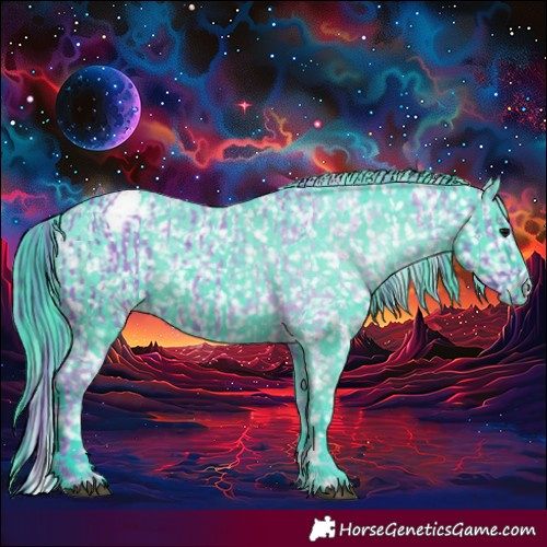 Horse Color:Watercolor Black Snowflake Varnish  and Watercolor Black Snowflake Varnish 