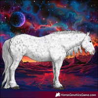 Horse Color:Watercolor Black Appaloosa  and Watercolor Black Appaloosa 