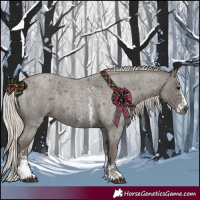 Horse Color:Silver Blue Roan Sabino 