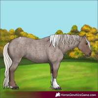 Horse Color:Silver Blue Roan Tobiano 