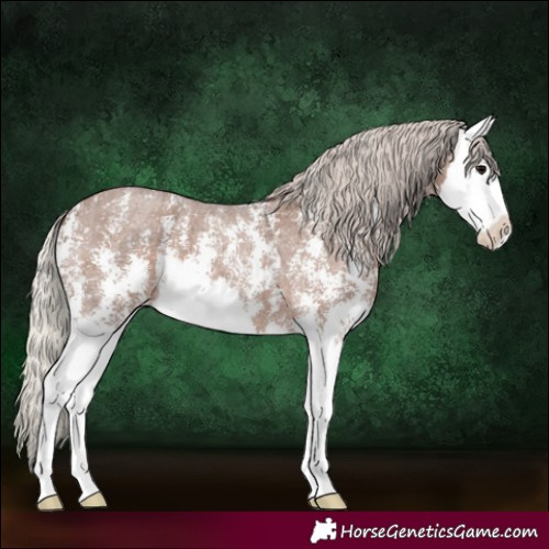 Horse Color:Silver Blue Roan Sabino Splash