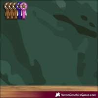Horse Color:Brown Roan Dun Sabino 