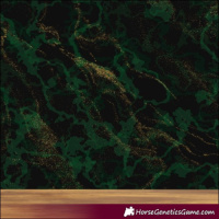 Horse Color:Palomino Roan Dun Appaloosa Rabicano 