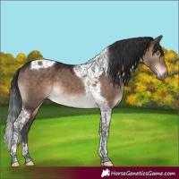 Horse Color:Brown Dun Mushroom Tobiano 
