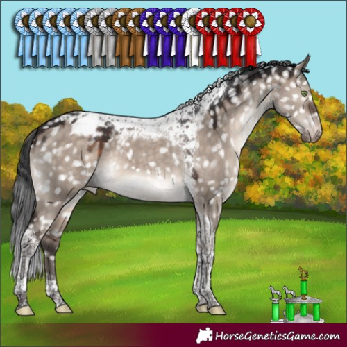 Horse Color:Brown Dun Mushroom Tobiano Appaloosa 
