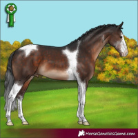 Horse Color:White Spotted Brown Tobiano Varnish 