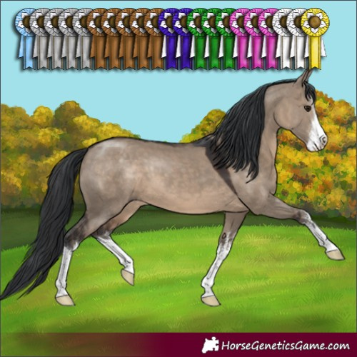 Horse Color:White Spotted Brown Dun 