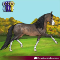 Horse Color:White Spotted Brown Dun