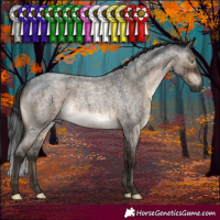 Horse Color:Gray Brown Roan Dun Mushroom Brindle 