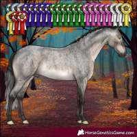 Horse Color:Gray Brown Roan Dun Mushroom Brindle 