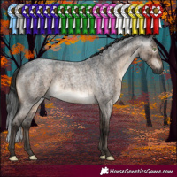 Horse Color:Gray Brown Roan Dun Mushroom Brindle 