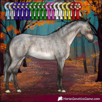 Horse Color:Gray Brown Roan Dun Mushroom Brindle 