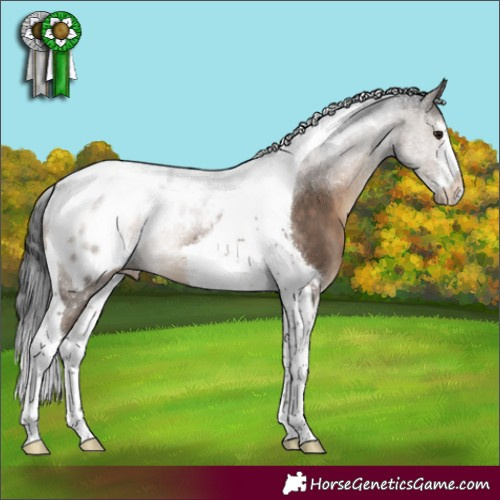 Horse Color:White Spotted Brown Dun Tobiano Blanket 