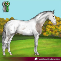 Horse Color:White Spotted Brown Dun Tobiano Appaloosa 