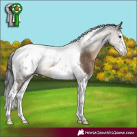 Horse Color:White Spotted Brown Dun Tobiano Blanket