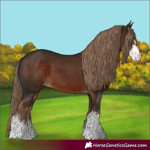 Horse Color:Liver Chestnut Sabino 