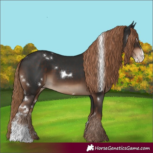 Horse Color:White Spotted Liver Chestnut Sabino Rabicano 