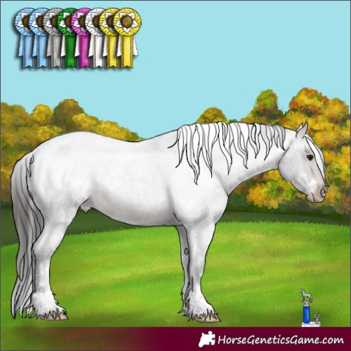 Horse Color:White Spotted Brown Roan Appaloosa 