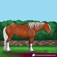 Horse Color:Silver Bay Tobiano