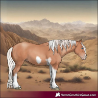 Horse Color:Silver Sable Champagne Tobiano Frame 