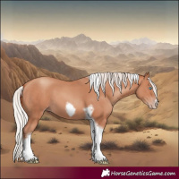 Horse Color:Silver Sable Champagne Tobiano Frame 