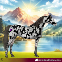 Horse Color:Bay Dun Near Leopard 