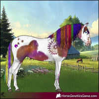 Horse Color:Painted Brown Splash Tobiano 