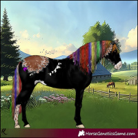 Horse Color:Painted White Spotted Chestnut
