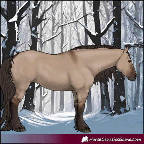 Horse Color:Liver Red Dun 