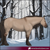 Horse Color:Liver Red Dun 