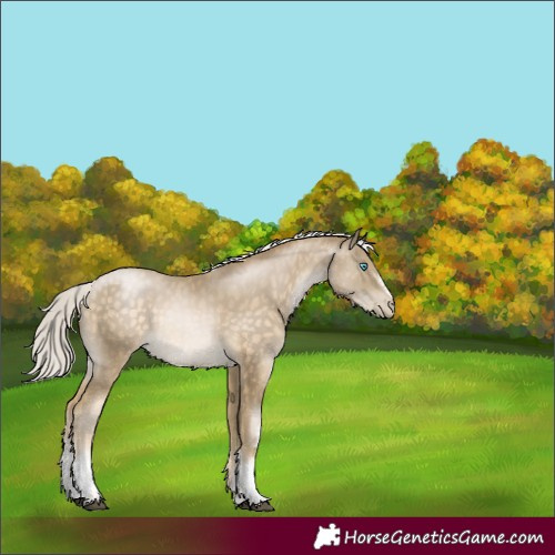 Horse Color:White Spotted Silver Buckskin Pearl 