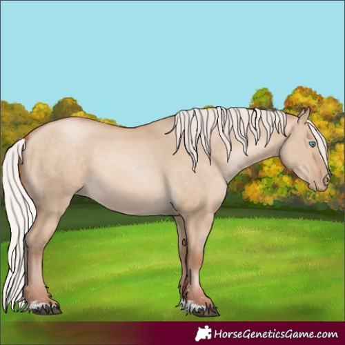 Horse Color:Silver Buckskin Snowdrop Dun 