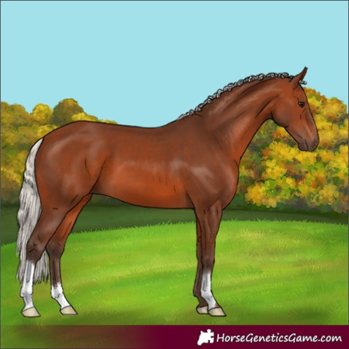 Horse Color:Silver Brown 