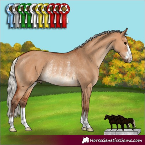 Horse Color:Silver Bay Dun Rabicano 