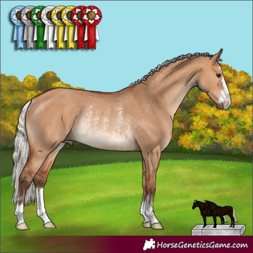 Horse Color:Silver Bay Dun Rabicano 