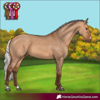 Horse Color:Silver Bay Dun 