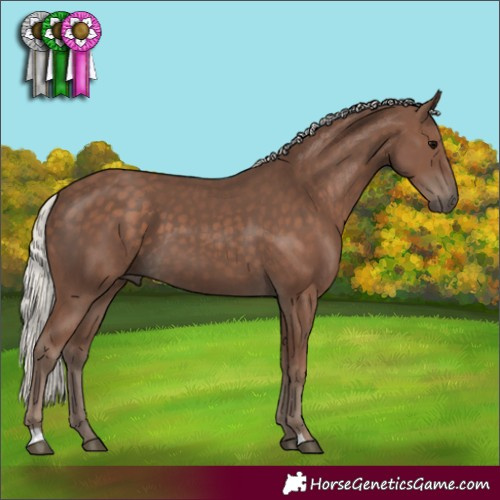 Horse Color:Silver Black 