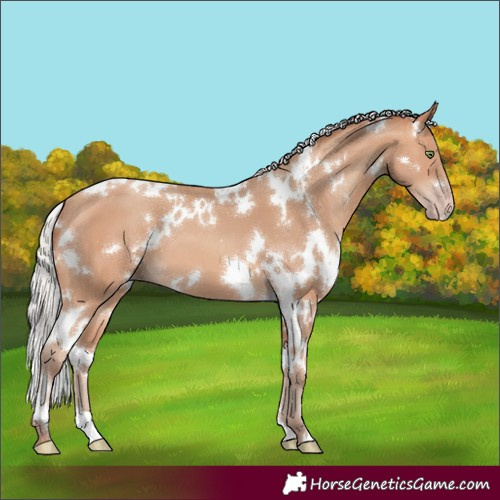 Horse Color:White Spotted Silver Amber Champagne 