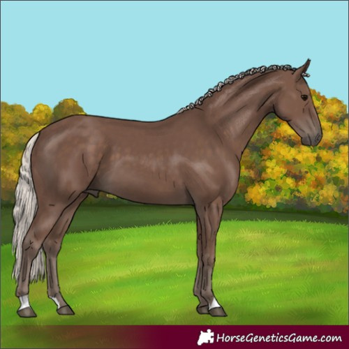 Horse Color:Silver Black 