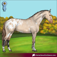 Horse Color:White Spotted Bay Dun Appaloosa Rabicano