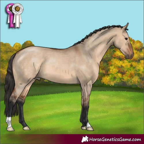 Horse Color:Bay Dun