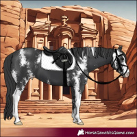 Horse Color:Black Sabino 