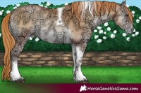 Horse Color:Red Onyx Ice Pearl Tobiano 