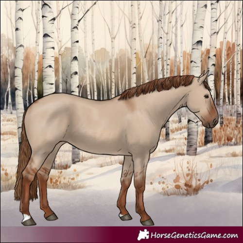 Horse Color:Red Dun 