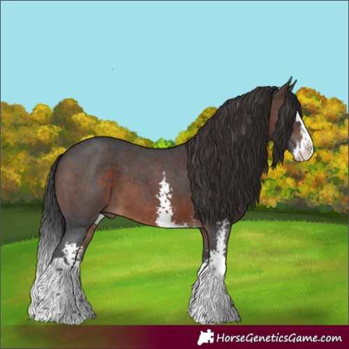 Horse Color:Brown Sabino Splash 