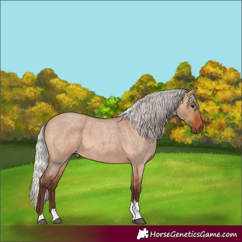 Horse Color:Silver Brown Roan Dun Tobiano 