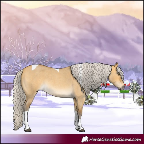 Horse Color:Silver Buckskin Roan Dun Tobiano 